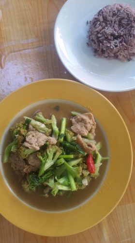 Broccoli and Tofu with Rice 